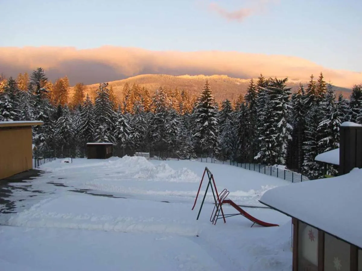 Haus Spannbauer Neureichenau 0*,