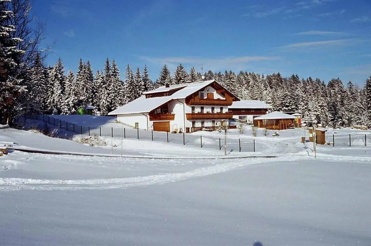 Haus Spannbauer Neureichenau 0*,  Germany